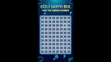 deneme1 projesi kapağı
